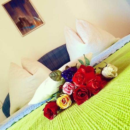 Apartment Emanuela Rovinjsko Selo Eksteriør bilde